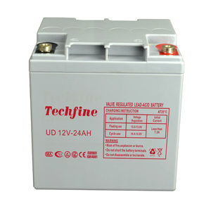 12V 24AH