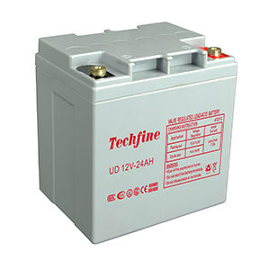 12V 24AH